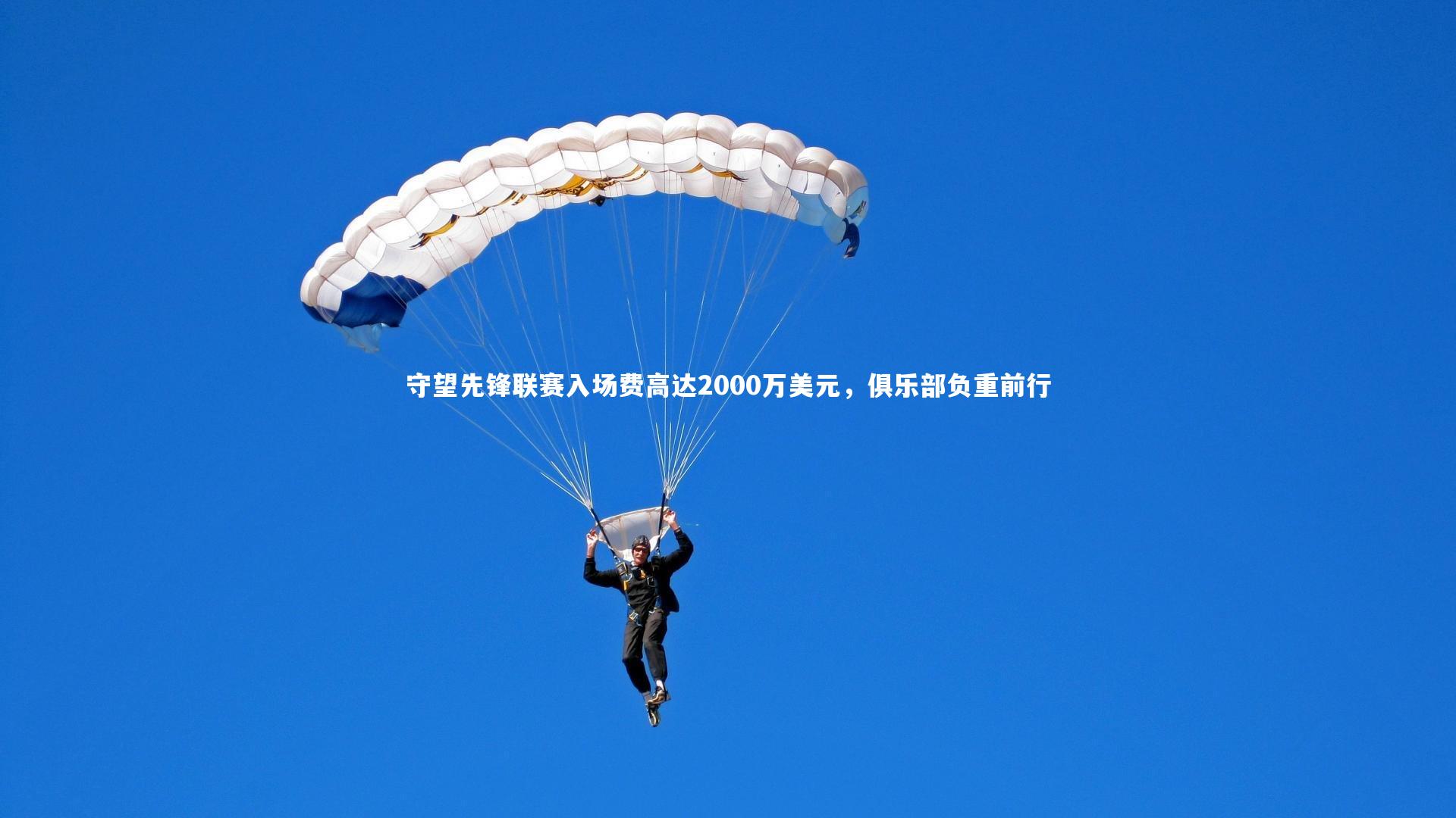 皇冠体育官网_守望先锋联赛入场费高达2000万美元，俱乐部负重前行